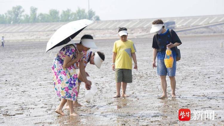 灘塗尋蛤、漁港搶鮮 上海家庭樂遊江蘇如東之“鮮”——“吃得好、住的好，下次還要再來！”