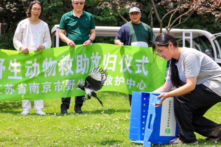 紅山森林動物園服務消費創新案例入選全國TOP10