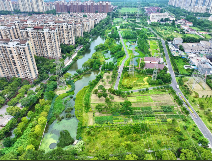 從城市“呼吸”到生態“溢價” 美麗江蘇逐綠而行
