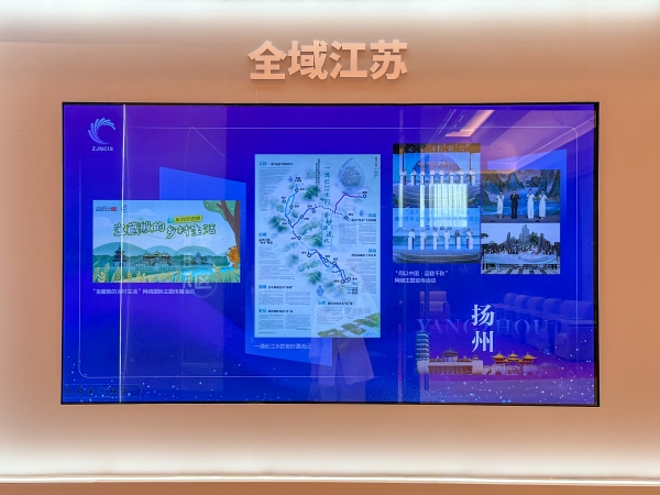 2025紫金網絡傳播創新大會在南京舉辦 “寶藏GOODS”國際傳播項目現場發佈_fororder_WechatIMG193_1_副本