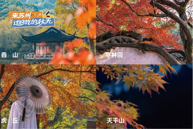 蘇州文旅邀您來蘇州 過好吃的秋天