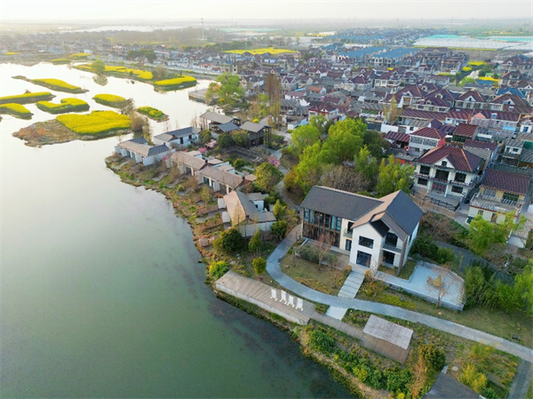 水韻江蘇新名片 興化千垛東羅村榮獲聯合國“最佳旅遊鄉村”稱號_fororder_9