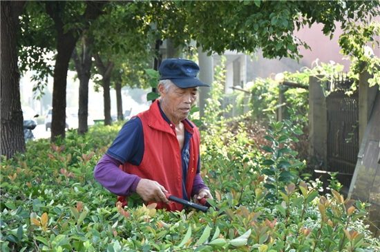 圖片默認標題_fororder_圖片23