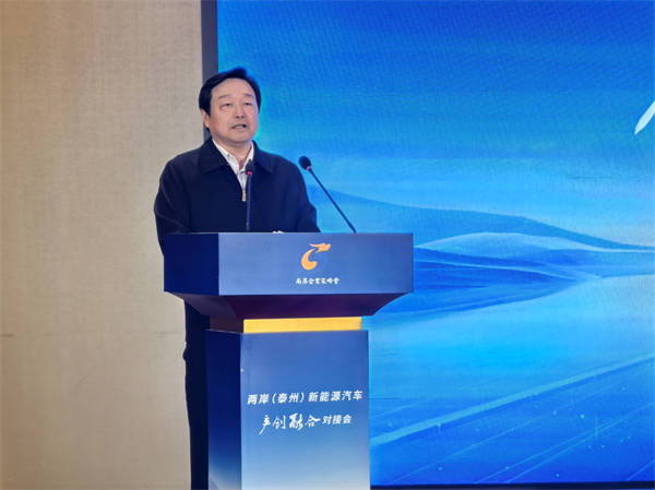兩岸（泰州）新能源汽車産創融合對接會在靖江舉辦_fororder_6