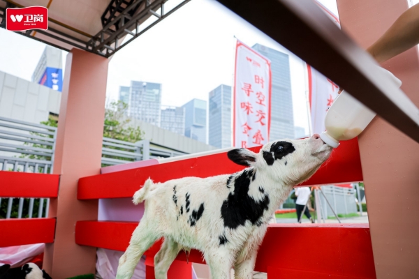 雨後天晴遇“鮮”機 南京乳業嘉年華週末狂歡開啟_fororder_圖片2_副本