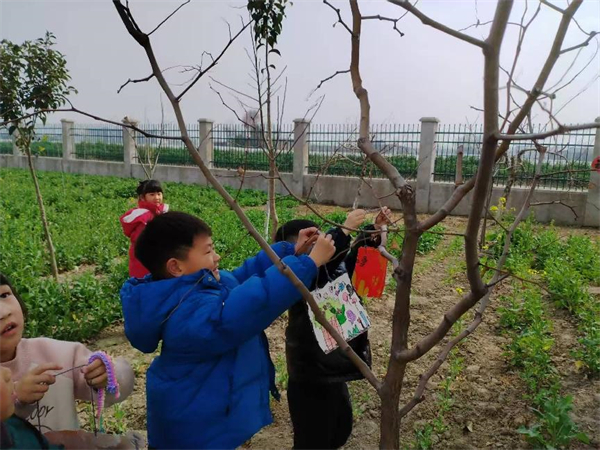 東臺市五烈鎮幹群開展義務植樹活動 共繪美麗鄉村新畫卷_fororder_33