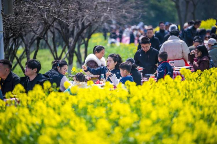 南京高淳：多點發力 激活文旅産業“一池春水”_fororder_20250630185223942002