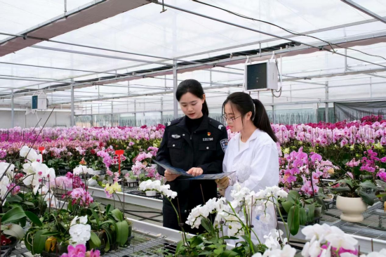 泰州市罡楊鎮法治清泉潤花鄉 産業復蘇振鄉村_fororder_圖片 1