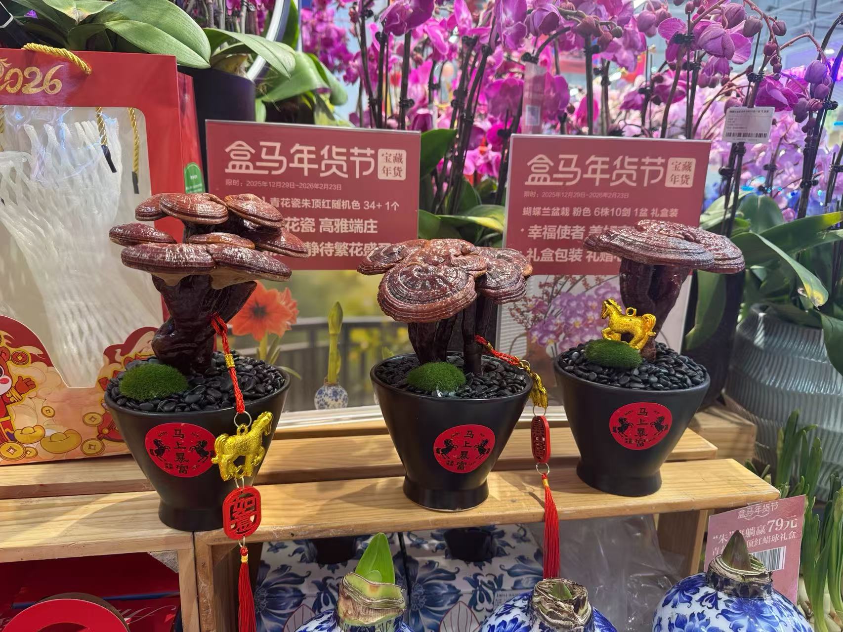 春節臨近，年宵花市場升溫！品種上新，清新小眾成流行新趨勢_fororder_微信圖片_20260130093151_689_239