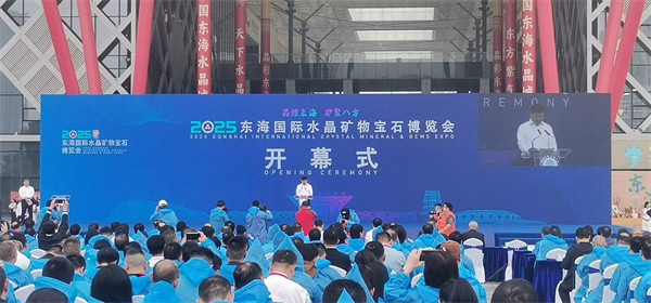 連雲港東海“展賽融合”力推優勢産業攀高向新_fororder_13