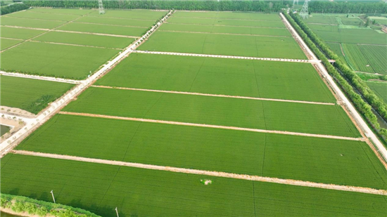 鹽城東臺市農業農村局攜手五烈鎮譜寫鄉村振興新篇章_fororder_圖片5_副本