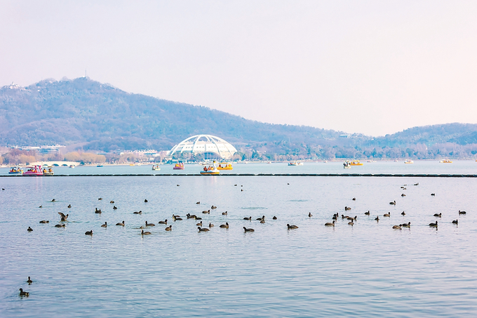 圖片默認標題_fororder_微信圖片_202601050939292