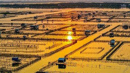陽澄湖畔醉夕陽 水鄉風光入畫來