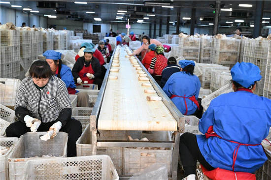 從田間地頭到産業潮頭的淮安清江浦“鄉土動能”_fororder_圖片2