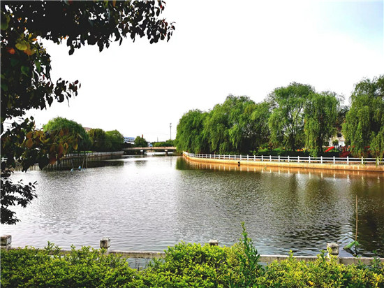 泰州興化戴南鎮帥垛村因地制宜打造“水名片”_fororder_圖片1_副本