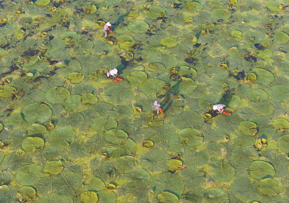 圖片默認標題_fororder_d2953c41-f62d-49ac-9ef6-46b265f23eed