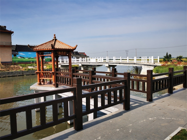 泰州興化戴南姜太村：麥浪滾滾大路寬_fororder_10