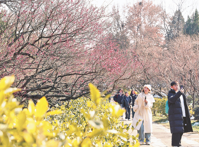 圖片默認標題_fororder_微信圖片_20260123094331