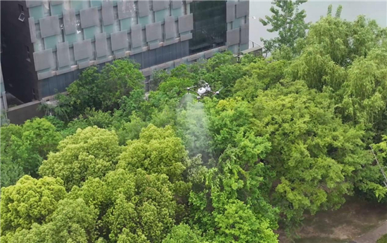 淮安市清江浦區：科技賦能 無人機精準施藥剿滅綠化蚜蟲_fororder_圖片6