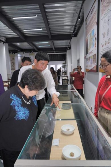 雨花石地質公園亮相南京礦博會 壽嘉華等專家考察園區建言獻策_fororder_圖片7_副本