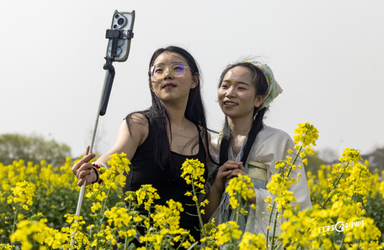 泰州興化：千垛花海引遊人