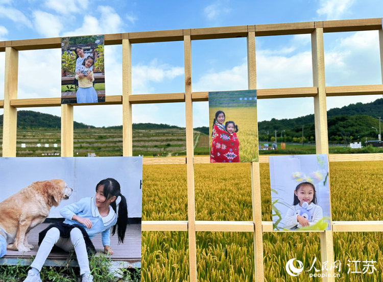 無錫濱湖：影像定格豐收之美_fororder_LOCAL1761310945048Z21UQJKFAB