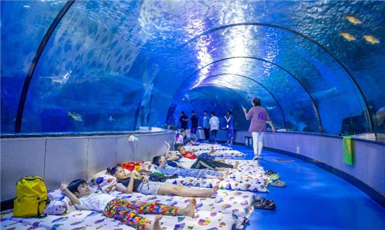 雙城跨域共振 歐樂堡文旅賦能區域旅遊高品質發展_fororder_圖片9
