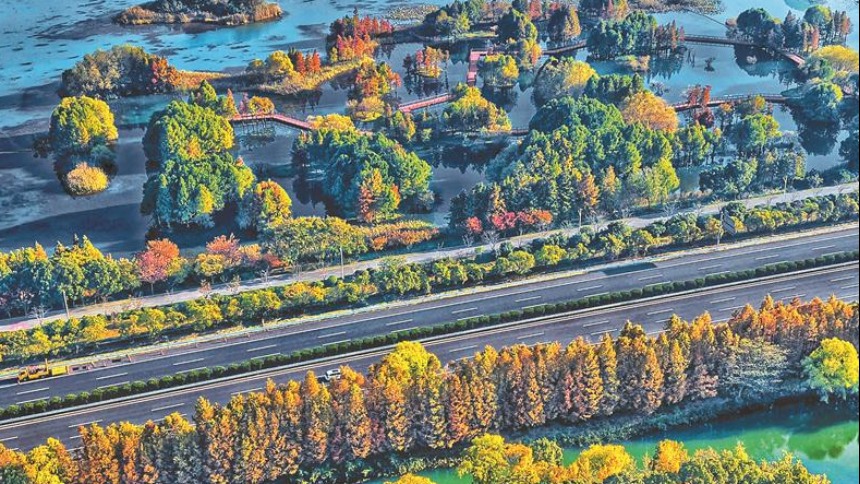 無錫：貢湖灣濕地公園色彩斑斕