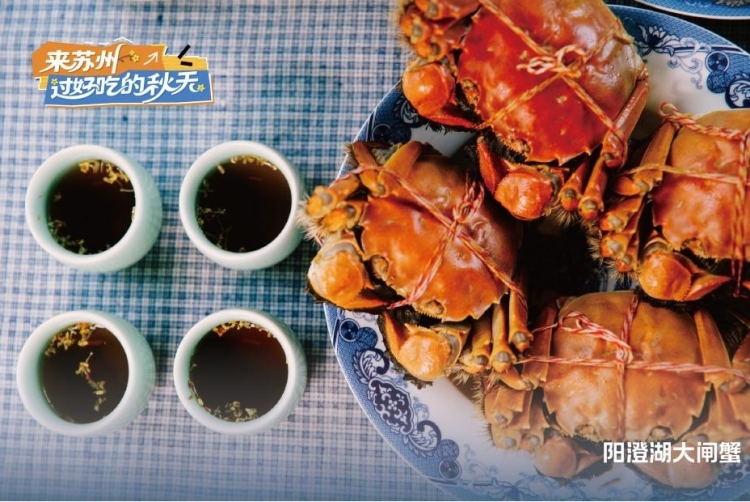 蘇州文旅邀您來蘇州 過好吃的秋天