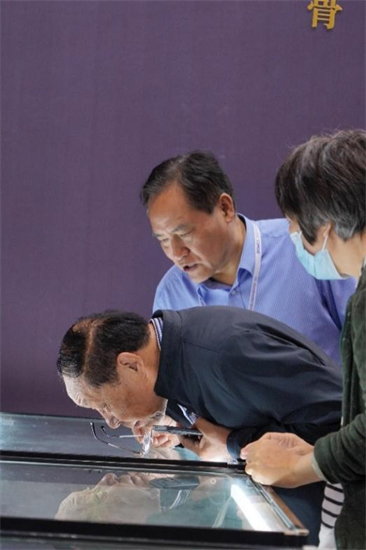 “石韻金陵，千年文脈”大型雨花石展亮相2025南京礦博會_fororder_39