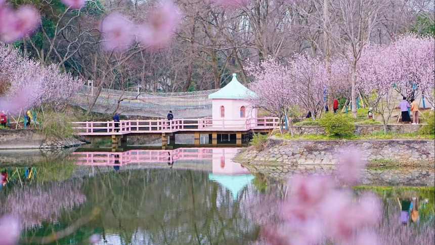 金陵春醒，莫辜負這好春光