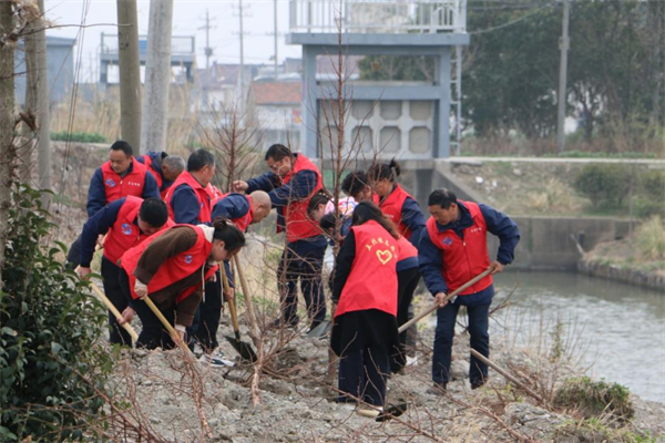 東臺市五烈鎮幹群開展義務植樹活動 共繪美麗鄉村新畫卷_fororder_32