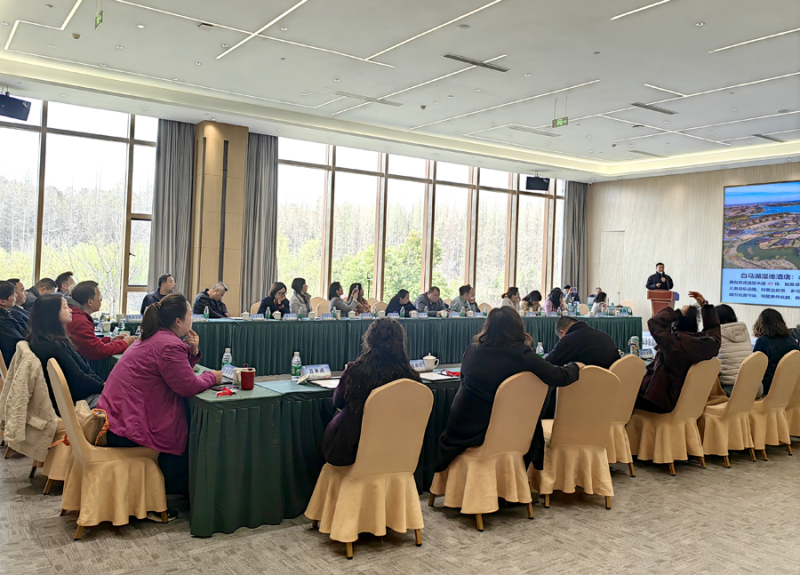 金湖傾所有 聊贈一城春 金湖國風賞花季暨第五屆鄉村旅遊嘉年華燃動春日