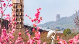 繪就文旅融合時代畫卷 “春牛首·薈金陵——2025牛首山非遺傳承季”啟幕