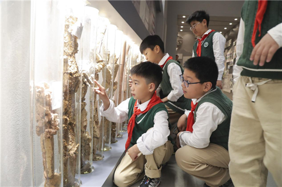江蘇省地震局開展全國防災減災日研學活動 助力小學生提升防震減災意識_fororder_圖片3