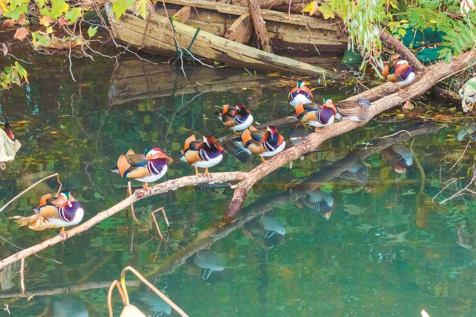 圖片默認標題_fororder_微信圖片_20260105093908