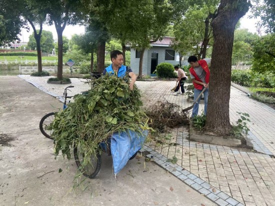 泰州興化戴南鎮趙萬村:“黨建紅”引領“生態綠”_fororder_圖片 4
