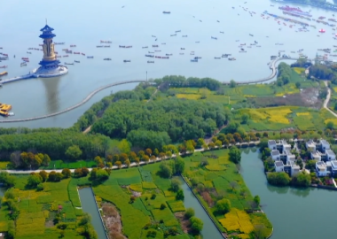 視頻丨泰州郵儲搭臺，千垛菜花為景，興化特色美食飄香_fororder_微信圖片_20251027152820