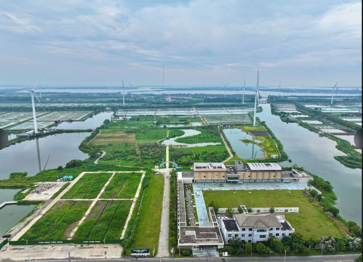 “點線面”跨區相融：陽澄湖畔好風景