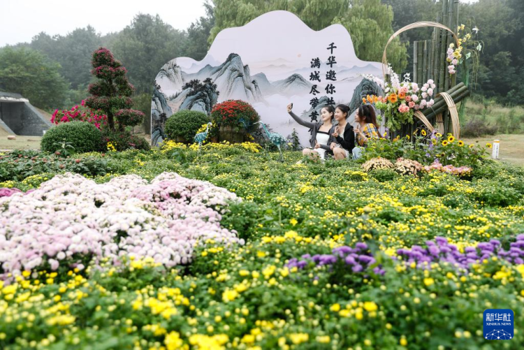 江蘇句容：寶華山下文旅熱_fororder_20250928_092658_000