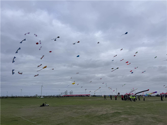 雙賽同臺 “箏”舞洋口 南通如東第二十四屆風箏會啟幕_fororder_圖片5