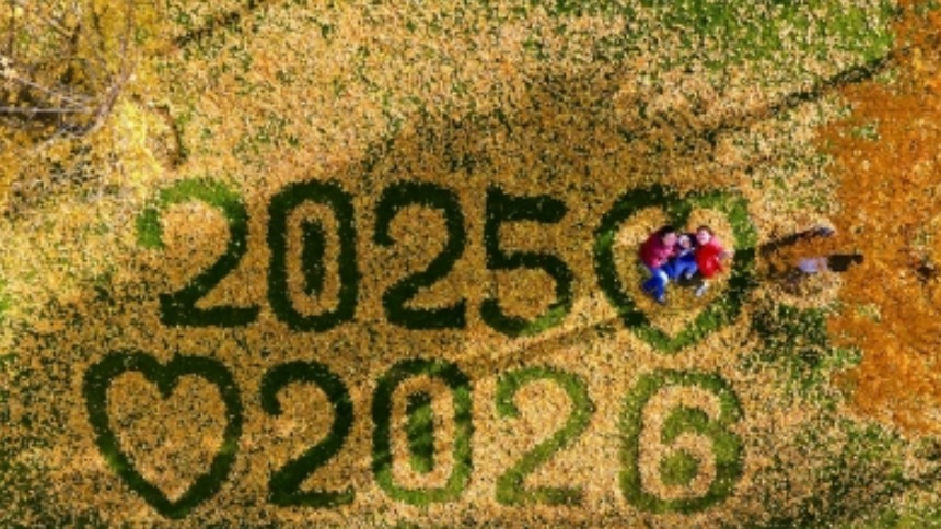 銀杏落葉寄金陵 翩躚作畫皆成景 “讓大家一起感受秋天的美、南京的美！”