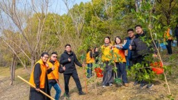植樹添綠正當時 泰州青年守護水清岸綠生態底色