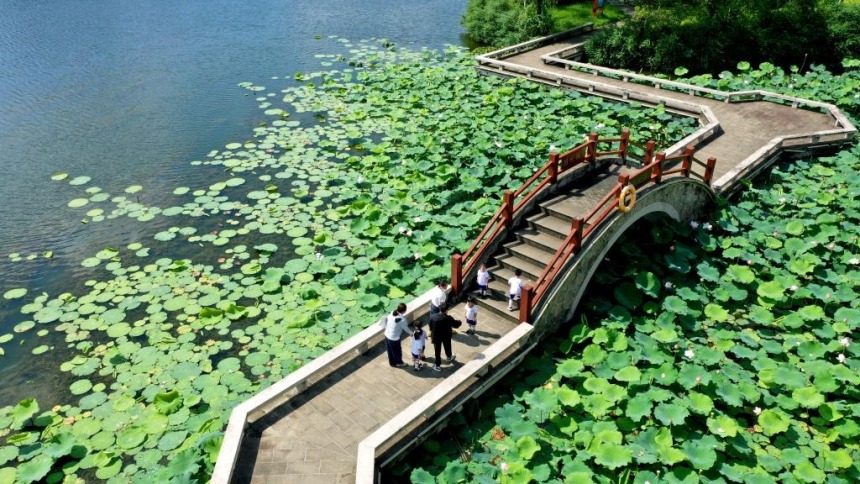 江蘇如東：夏韻淺水灣
