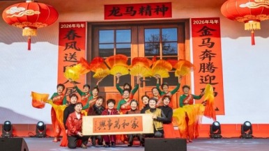 南通蘇錫通園區張芝山鎮村晚奏響幸福樂章