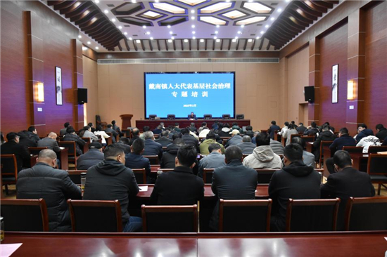 泰州興化戴南鎮人大開展專題培訓 賦能基層社會治理_fororder_圖片1