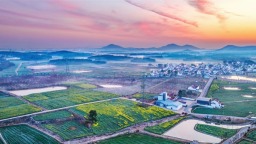 南京：春日田園風景如畫