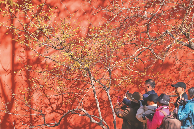 圖片默認標題_fororder_微信圖片_20260116093014