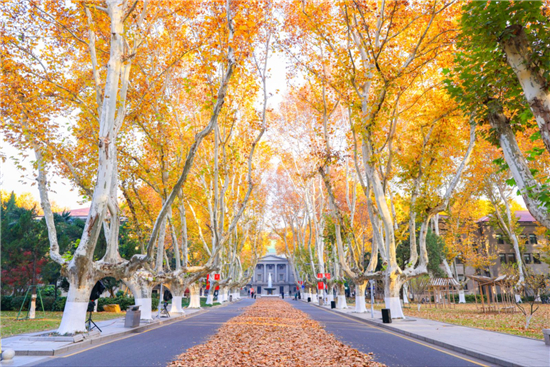 東南大學梧桐文化節啟幕 新生快閃以青春之歌唱響報國強音_fororder_圖片9