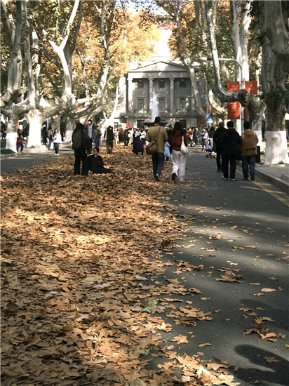 東南大學梧桐文化節啟幕 新生快閃以青春之歌唱響報國強音_fororder_圖片11